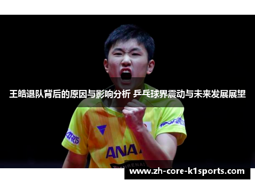 王皓退队背后的原因与影响分析 乒乓球界震动与未来发展展望 王皓退队背后的原因与影响分析 乒乓球界震动与未来发展展望