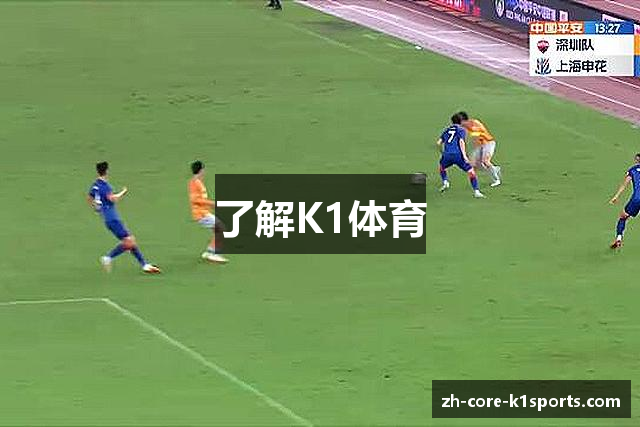 了解K1体育
